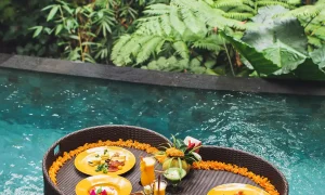 floating-breakfast-in-jungle-swimming-pool-tropic-2024-09-15-06-32-18-utc