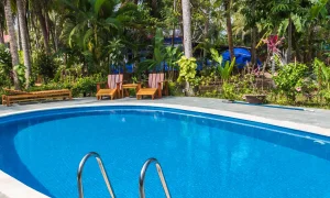 swimming-pool-in-tropical-resort-with-garden-2025-03-14-00-22-00-utc